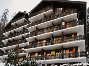Mountain apartment in Veysonnaz